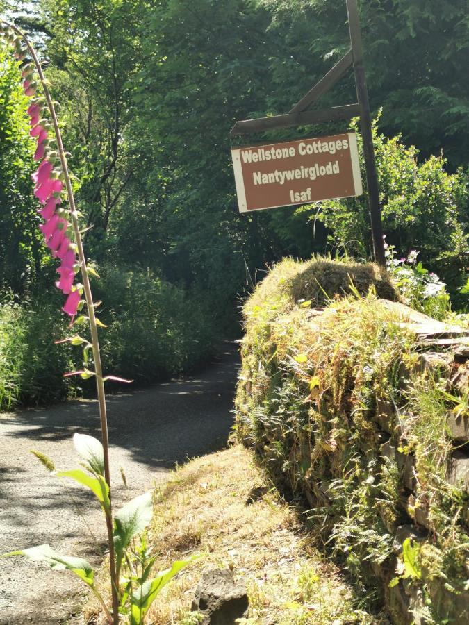 Wellstone Cottages - Ivy Llanfyrnach 외부 사진